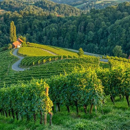 Spicnik Turisticna Kmetija Dreisiebnerヴィラ エクステリア 写真