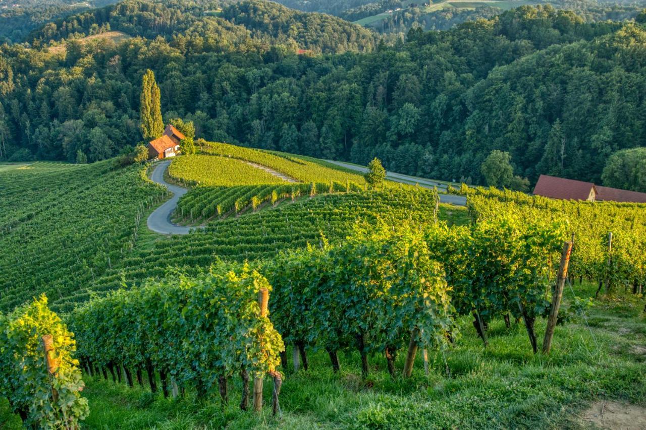 Spicnik Turisticna Kmetija Dreisiebnerヴィラ エクステリア 写真